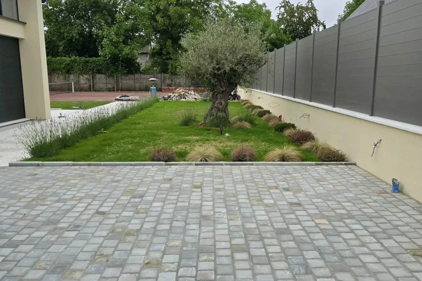 Après les travaux — cour en pavés clairs bordée de pelouse et d'un olivier