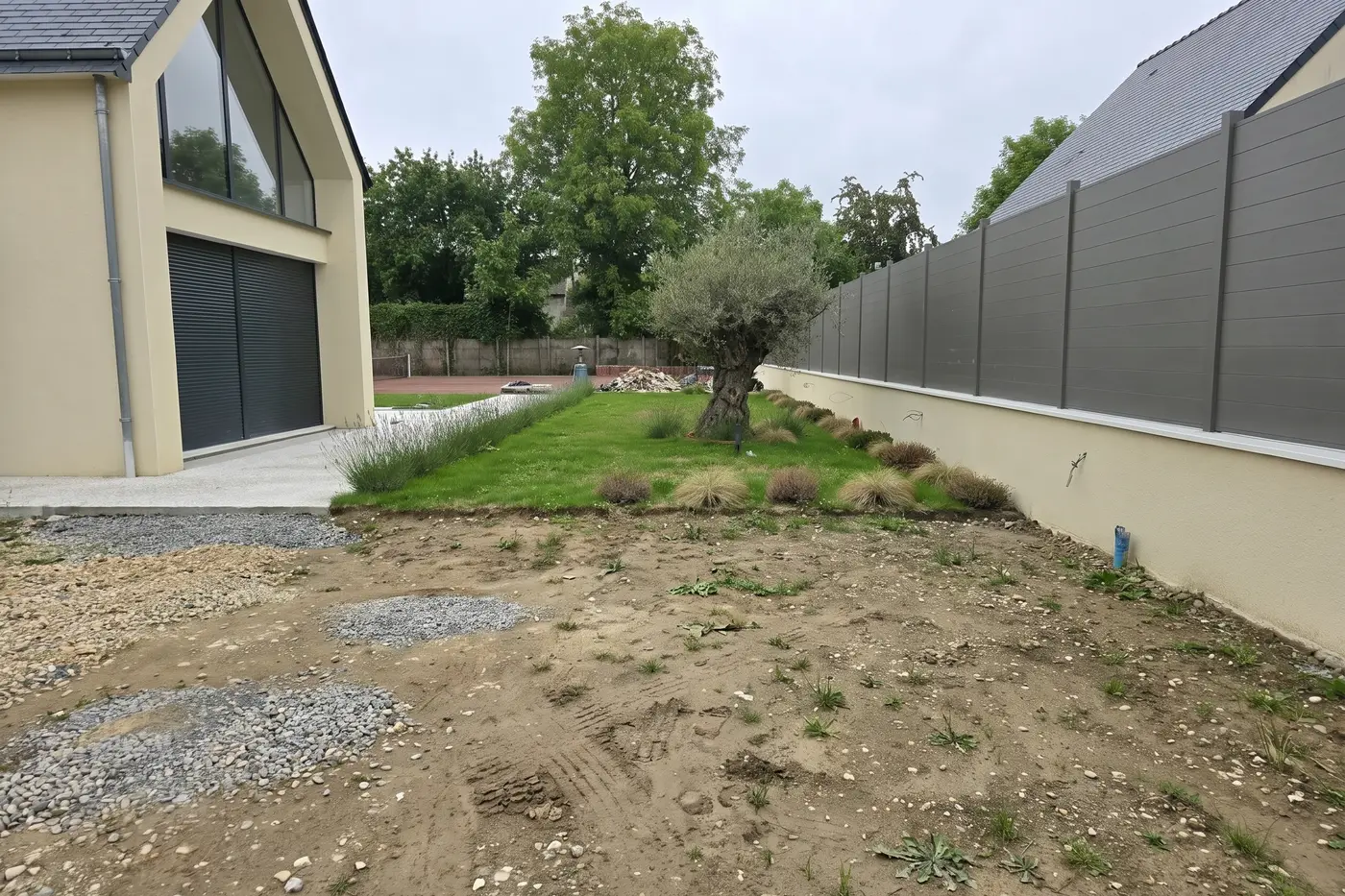 Avant les travaux — cour en pavés clairs bordée de pelouse et d'un olivier